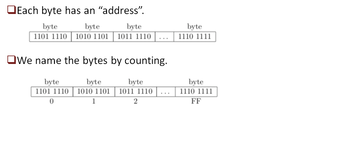 Server 8 Bit Intro to Computer System | peterbear